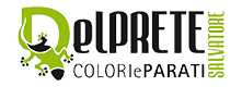 Colori e Parati | Salvatore Del Prete Logo